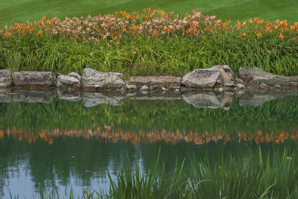 image: japanese garden